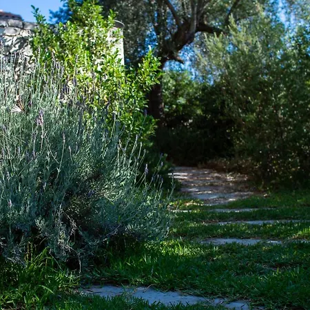 Villa Arterravilla, A Hidden Sanctuary. *